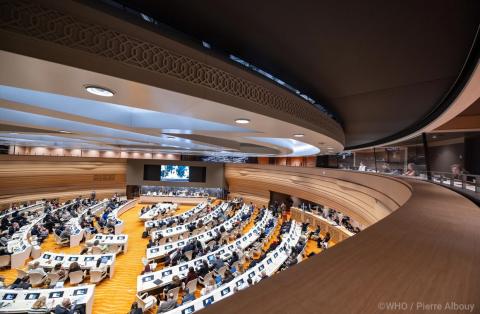 WHA78
